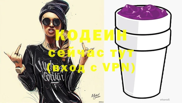 молекула духа Богданович