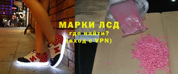 молекула духа Богданович