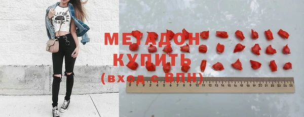 молекула духа Богданович