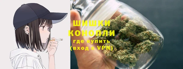 кокс Богородицк