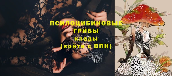 кокс Богородицк
