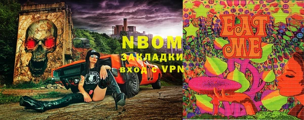 молекула духа Богданович