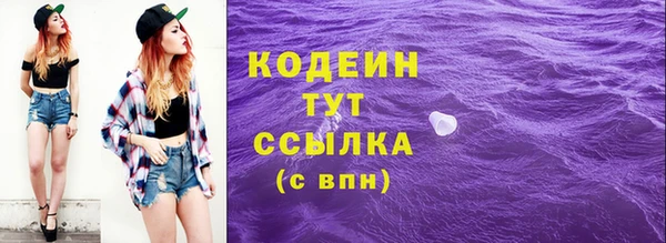 молекула духа Богданович