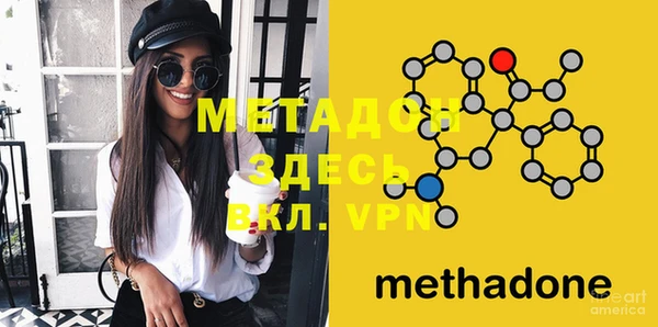 молекула духа Богданович