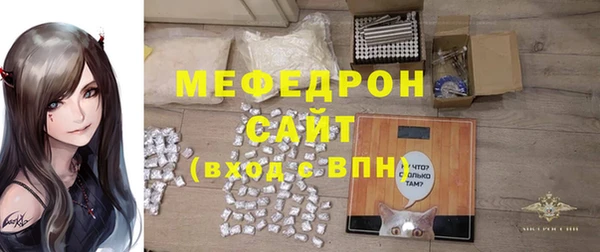 молекула духа Богданович