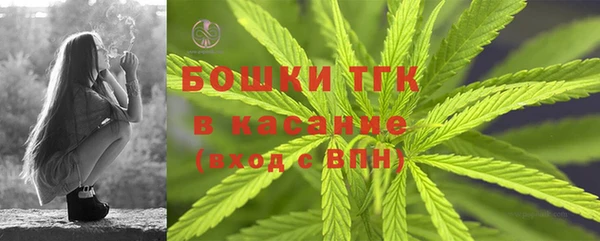 кокс Богородицк