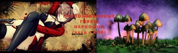 кокаин перу Бородино