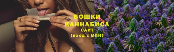молекула духа Богданович
