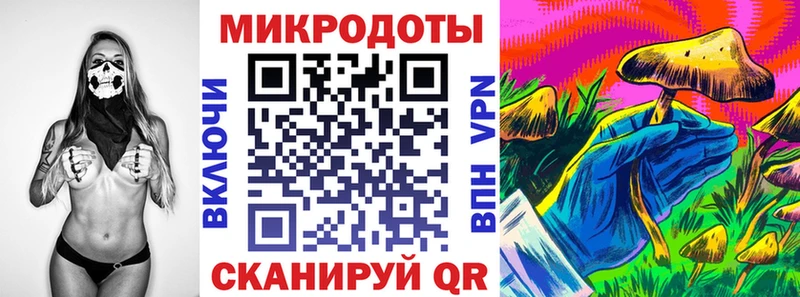 закладка  Трубчевск  Галлюциногенные грибы MAGIC MUSHROOMS 